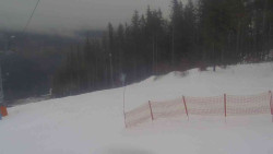 Sjezdovka Sportovní