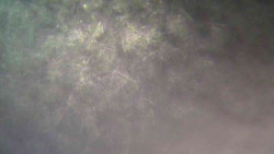 Sjezdovka Sportovní