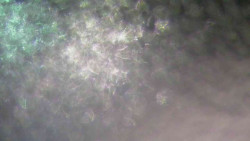 Sjezdovka Sportovní