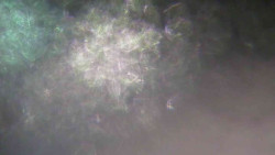 Sjezdovka Sportovní