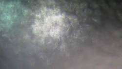 Sjezdovka Sportovní