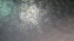 Sjezdovka Sportovní