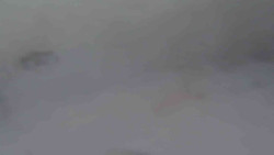 Sjezdovka Sportovní