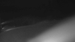 Sjezdovka Sportovní