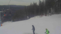 Sjezdovka Sportovní