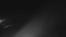 Sjezdovka Sportovní