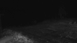 Sjezdovka Sportovní