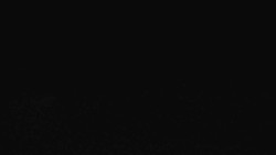 Sjezdovka Sportovní