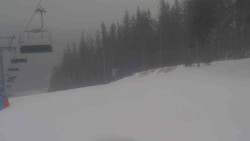 Sjezdovka Sportovní