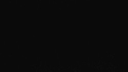 Sjezdovka Sportovní