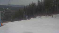 Sjezdovka Sportovní