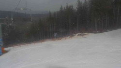 Sjezdovka Sportovní