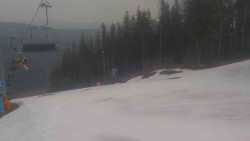 Sjezdovka Sportovní