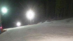 Sjezdovka Sportovní