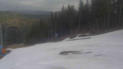 Sjezdovka Sportovní