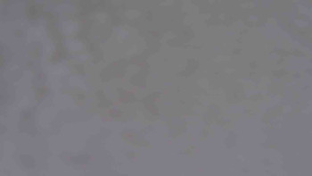 Snímek 24.11.2025 v 10:01