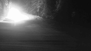 Ski Karlov - areál Karlov - Sportovní - 7.1.2026 v 05:31 Ski Karlov - areál Karlov - Sportovní - 7.1.2026 v 05:31