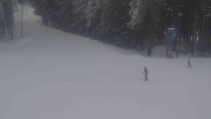 Ski Karlov - areál Karlov - Sportovní - 7.1.2026 v 15:31 Ski Karlov - areál Karlov - Sportovní - 7.1.2026 v 15:31