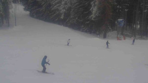 Ski Karlov - areál Karlov - Sportovní - 9.1.2026 v 10:01 Ski Karlov - areál Karlov - Sportovní - 9.1.2026 v 10:01