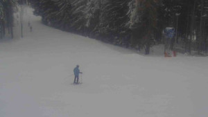 Ski Karlov - areál Karlov - Sportovní - 9.1.2026 v 13:31 Ski Karlov - areál Karlov - Sportovní - 9.1.2026 v 13:31