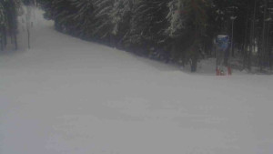 Ski Karlov - areál Karlov - Sportovní - 9.1.2026 v 14:31 Ski Karlov - areál Karlov - Sportovní - 9.1.2026 v 14:31