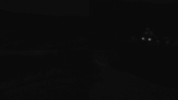 Snímek 5.11.2025 v 04:31