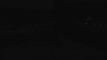 Snímek 6.11.2025 v 04:31