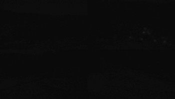 Snímek 7.11.2025 v 00:01