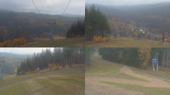 Snímek 7.11.2025 v 08:01