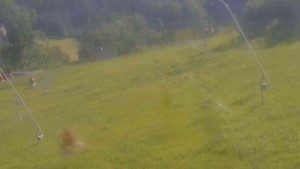 Ski Malenovice - Sjezdovka Školák - 21.6.2025 v 10:00 Ski Malenovice - Sjezdovka Školák - 21.6.2025 v 10:00