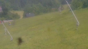 Ski Malenovice - Sjezdovka Školák - 21.6.2025 v 14:00 Ski Malenovice - Sjezdovka Školák - 21.6.2025 v 14:00