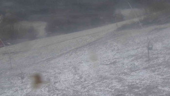 Snímek 19.11.2025 v 08:30