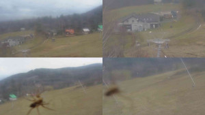 Ski Malenovice - Sdružený snímek - 8.12.2025 v 09:30 Ski Malenovice - Sdružený snímek - 8.12.2025 v 09:30