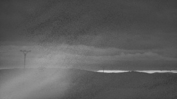 Snímek    29.10.2025 v 05:50