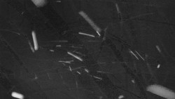 Troják - Maruška - Rozhledna