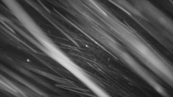 Troják - Maruška - Rozhledna