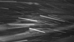 Troják - Maruška - Rozhledna