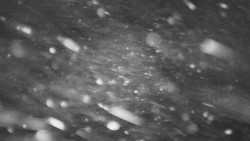 Troják - Maruška - Rozhledna