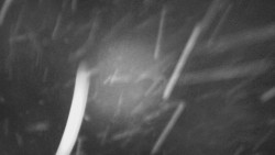 Troják - Maruška - Rozhledna