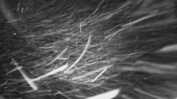 Troják - Maruška - Rozhledna