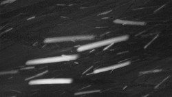 Troják - Maruška - Rozhledna