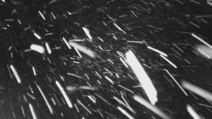 Skiareál Troják - Troják - Maruška - Rozhledna - 9.1.2026 v 21:10 Skiareál Troják - Troják - Maruška - Rozhledna - 9.1.2026 v 21:10