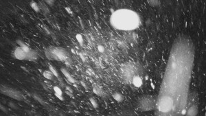 Skiareál Troják - Troják - Maruška - Rozhledna - 9.1.2026 v 23:50 Skiareál Troják - Troják - Maruška - Rozhledna - 9.1.2026 v 23:50