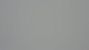 Skiareál Troják - Troják - Maruška - Rozhledna - 14.1.2026 v 09:34 Skiareál Troják - Troják - Maruška - Rozhledna - 14.1.2026 v 09:34