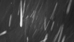 Troják - Maruška - Rozhledna