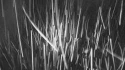 Troják - Maruška - Rozhledna