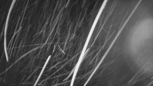 Skiareál Troják - Troják - Maruška - Rozhledna - 14.2.2026 v 21:04 Skiareál Troják - Troják - Maruška - Rozhledna - 14.2.2026 v 21:04