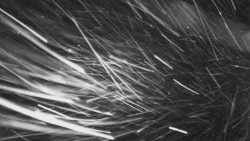 Troják - Maruška - Rozhledna