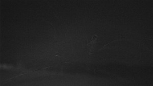 Skiareál Troják - Troják - Maruška - Rozhledna - 15.3.2026 v 03:10 Skiareál Troják - Troják - Maruška - Rozhledna - 15.3.2026 v 03:10