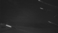 Troják - Maruška - Rozhledna